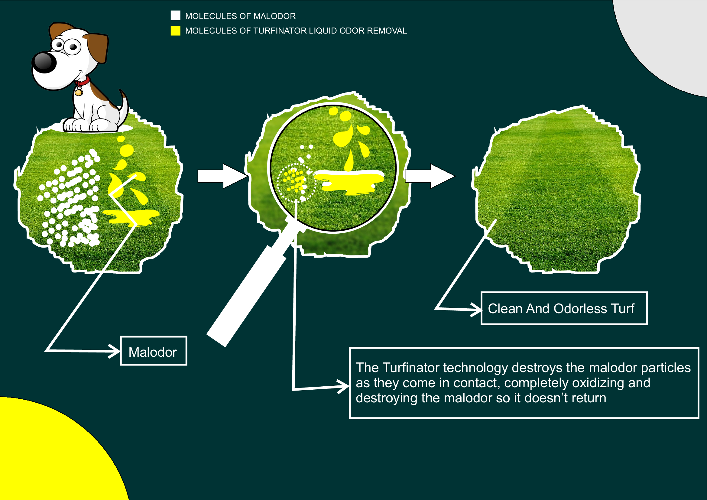 Turfinator GRAPHIC-ILLUSTRATION